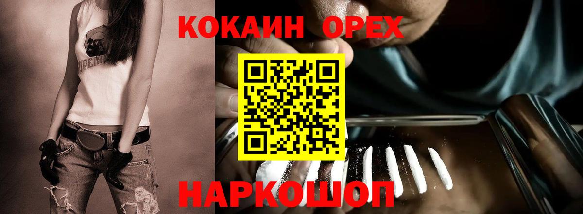 цены наркотик  Cocaine 99%  COCAIN  Вход с VPN  Cocaine 97%  Заводоуковск 