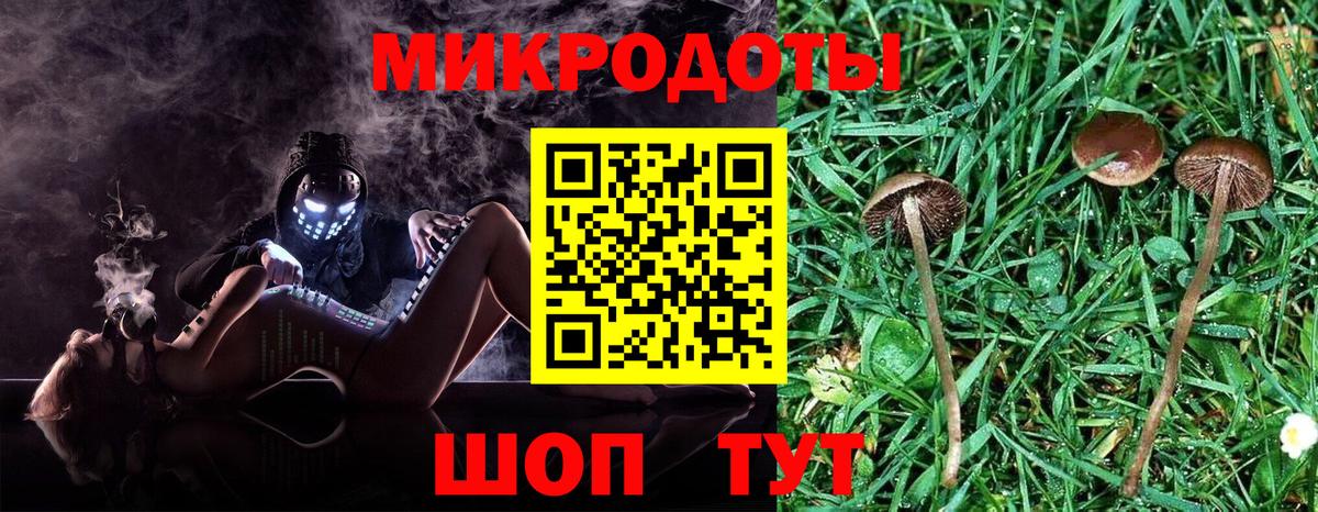 Заводоуковск  Псилоцибиновые грибы GOLDEN TEACHER  Вход с VPN 